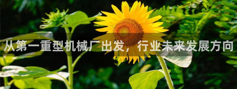 富联娱乐首页在哪看直播