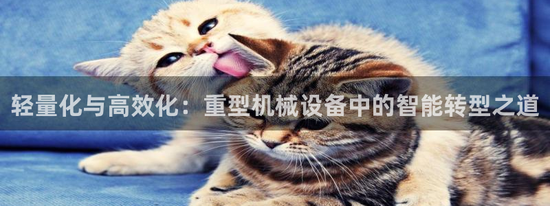 富联娱乐女团排名