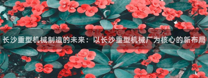 富联娱乐元哥