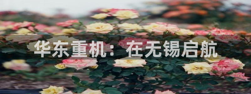 富联娱乐招商统判官333OO