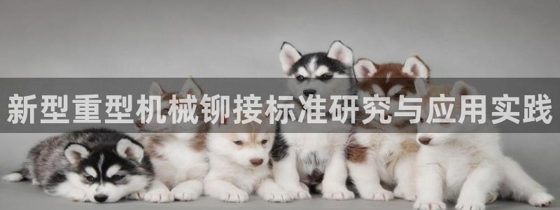 富联娱乐总裁简介图片大全