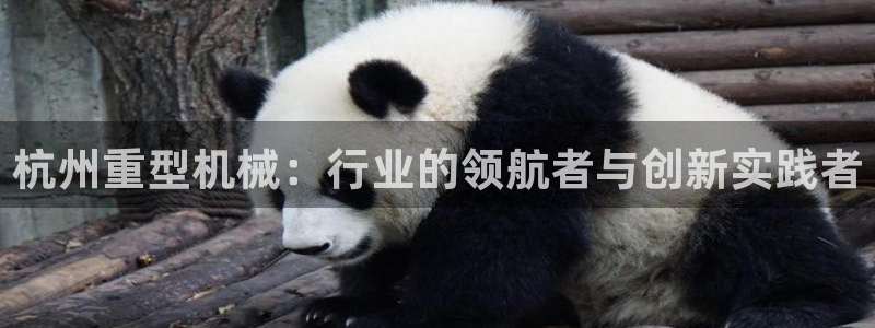 富联娱乐发展历程图