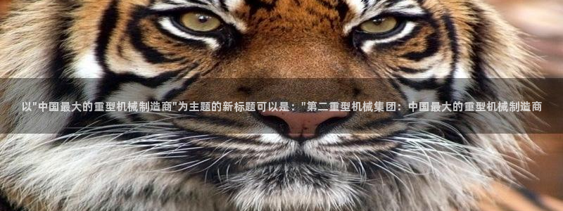 富联娱乐APP下载