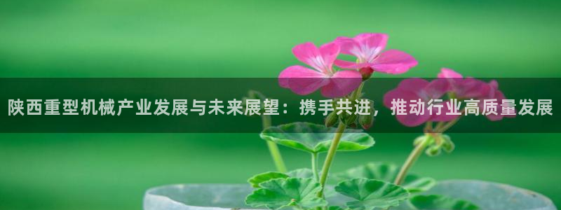 富联娱乐在线观看视频