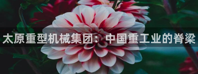 富联娱乐系37997筘