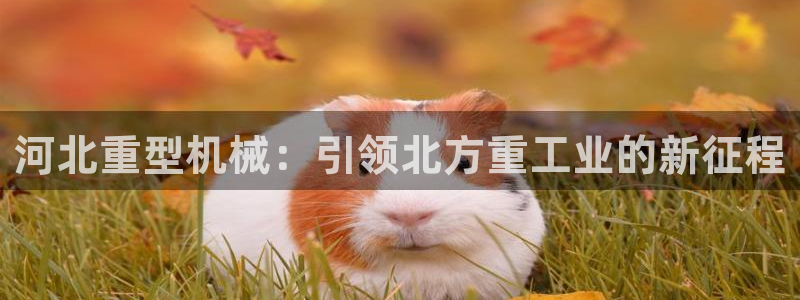 富联娱乐主管是谁啊老板