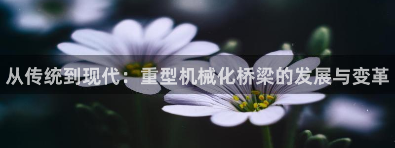 富联2娱乐资讯官网首页