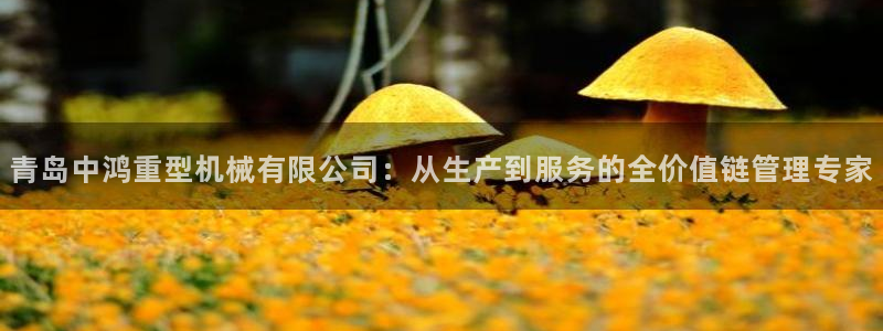 富联娱乐主管是谁判官333OO